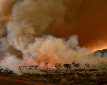 South Africa Wildfire