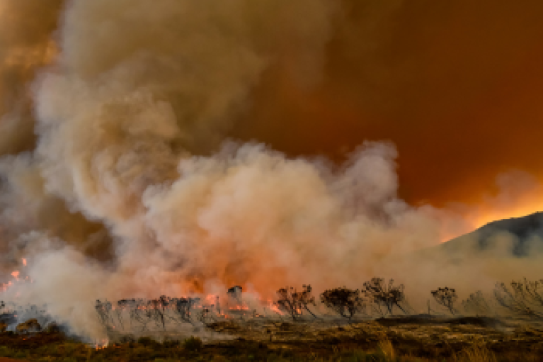 South Africa Wildfire