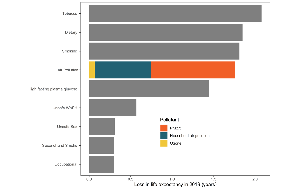 What Are Some Threats To Life Expectancy Fabalabse